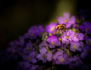 20160410 img