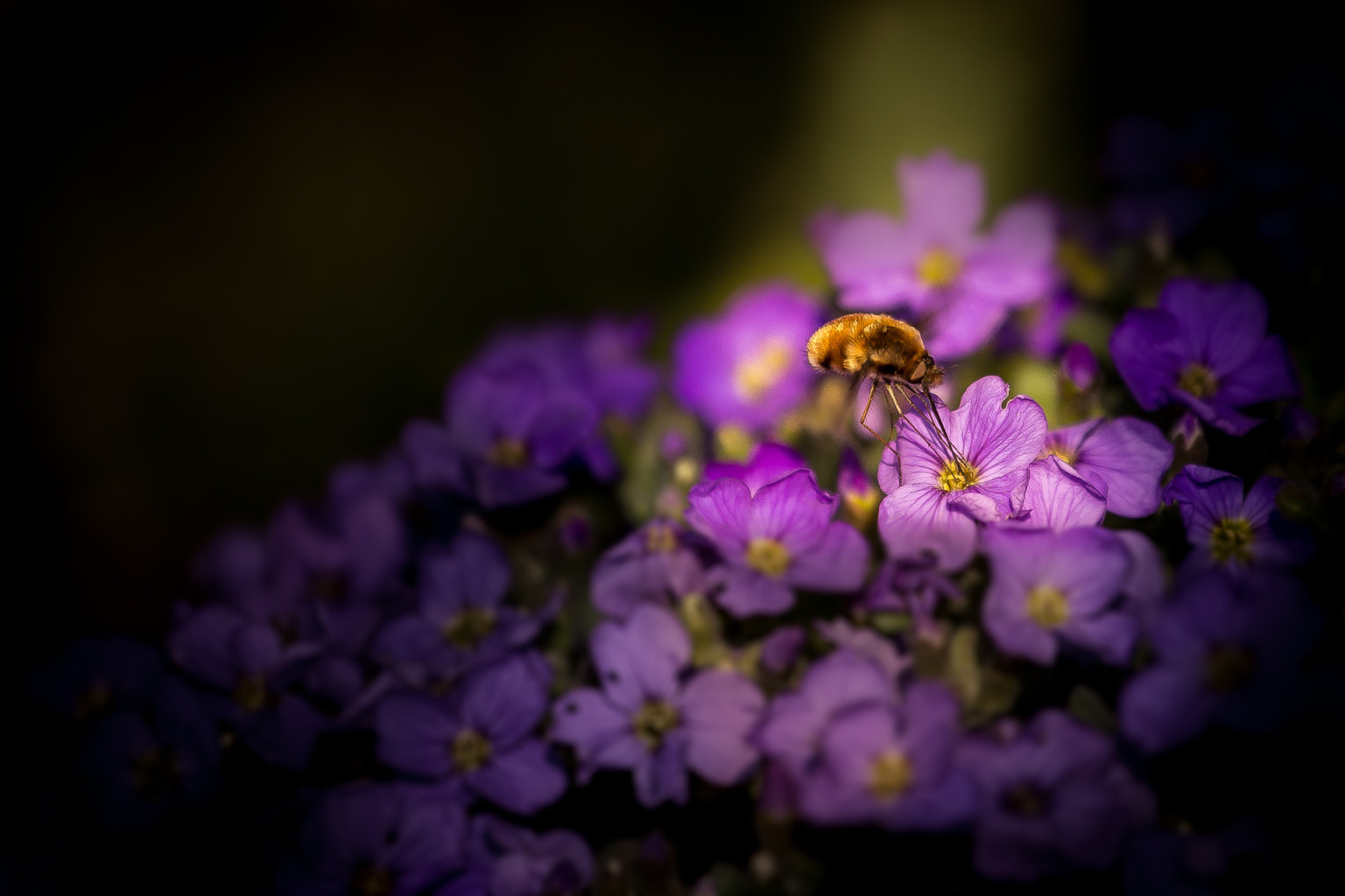 20160410 img