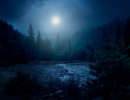 nightalps fb