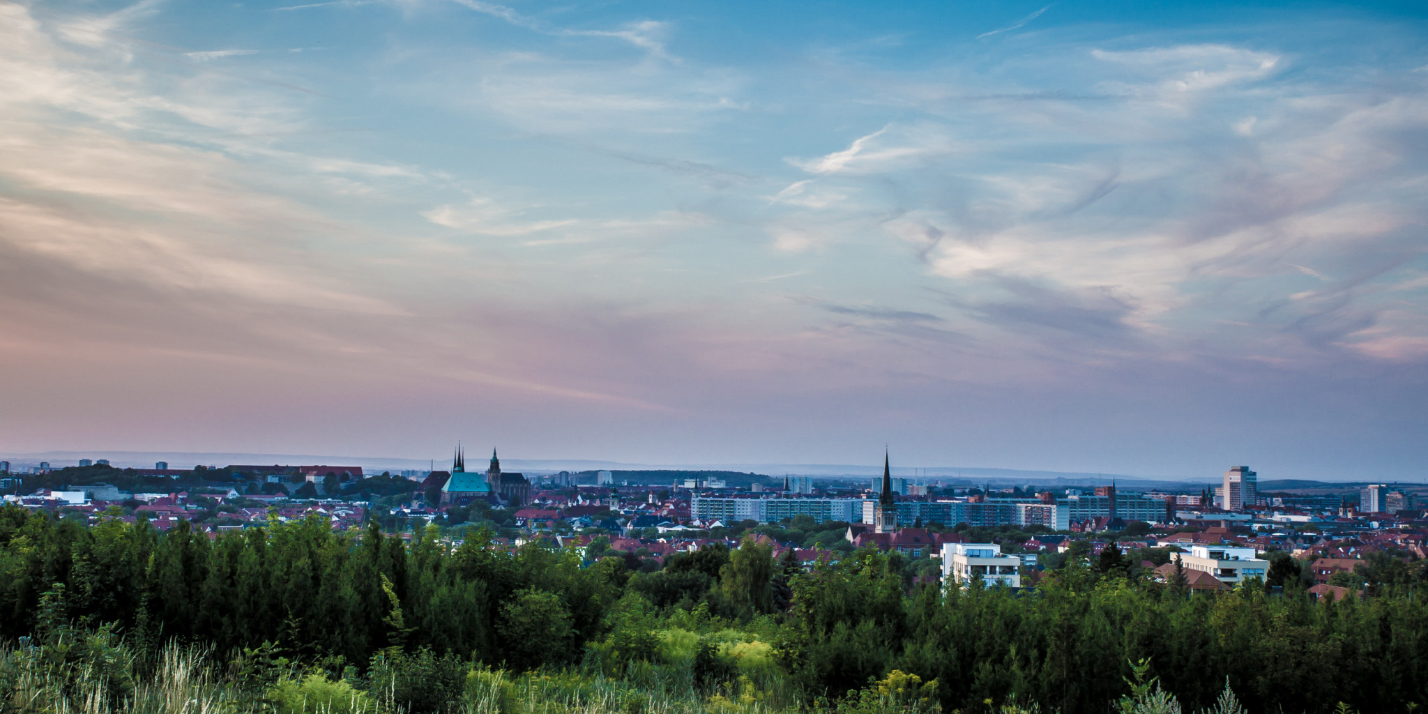 20150802 img 20150802 img