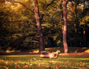 luisenpark luisenpark