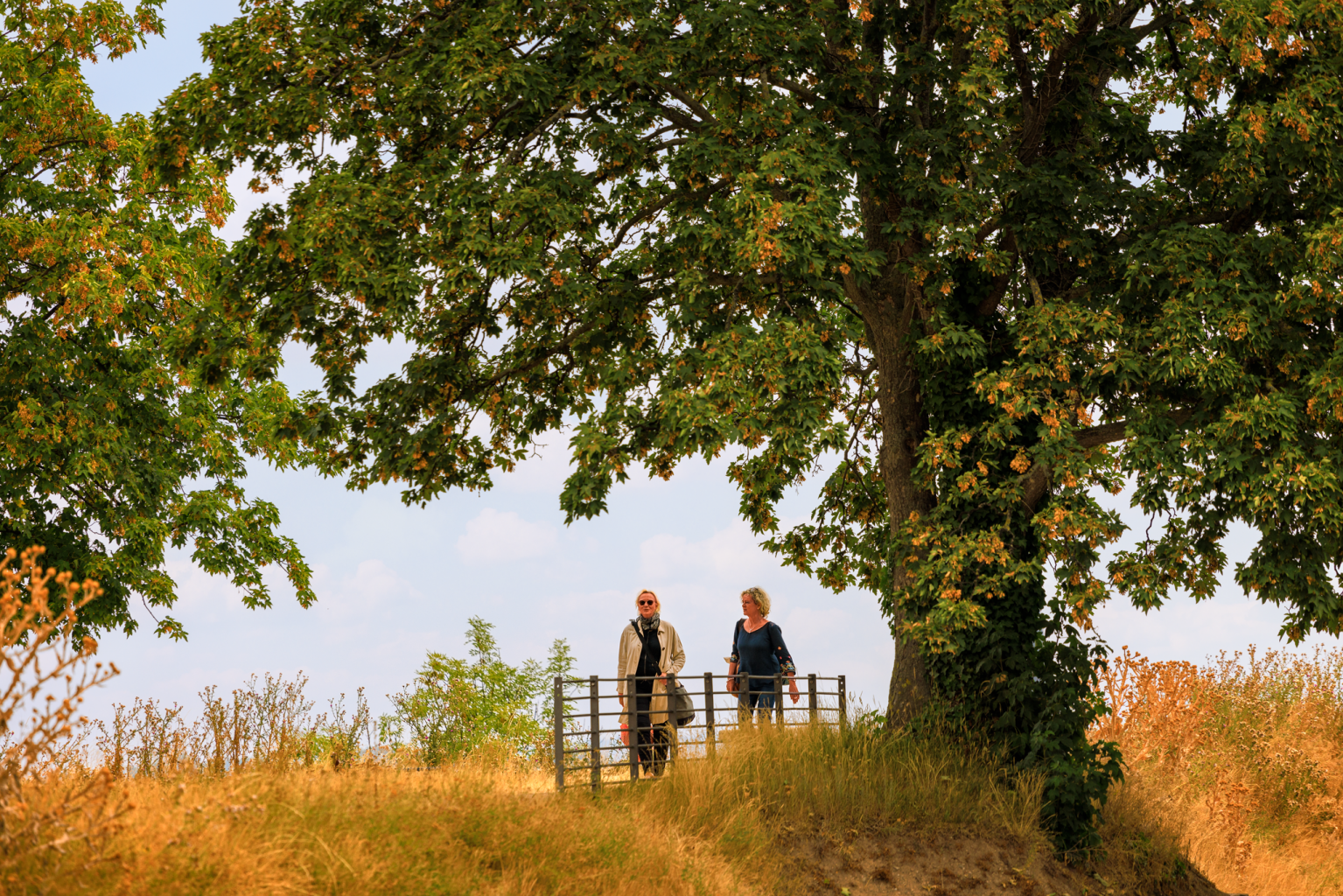 petersberg petersberg