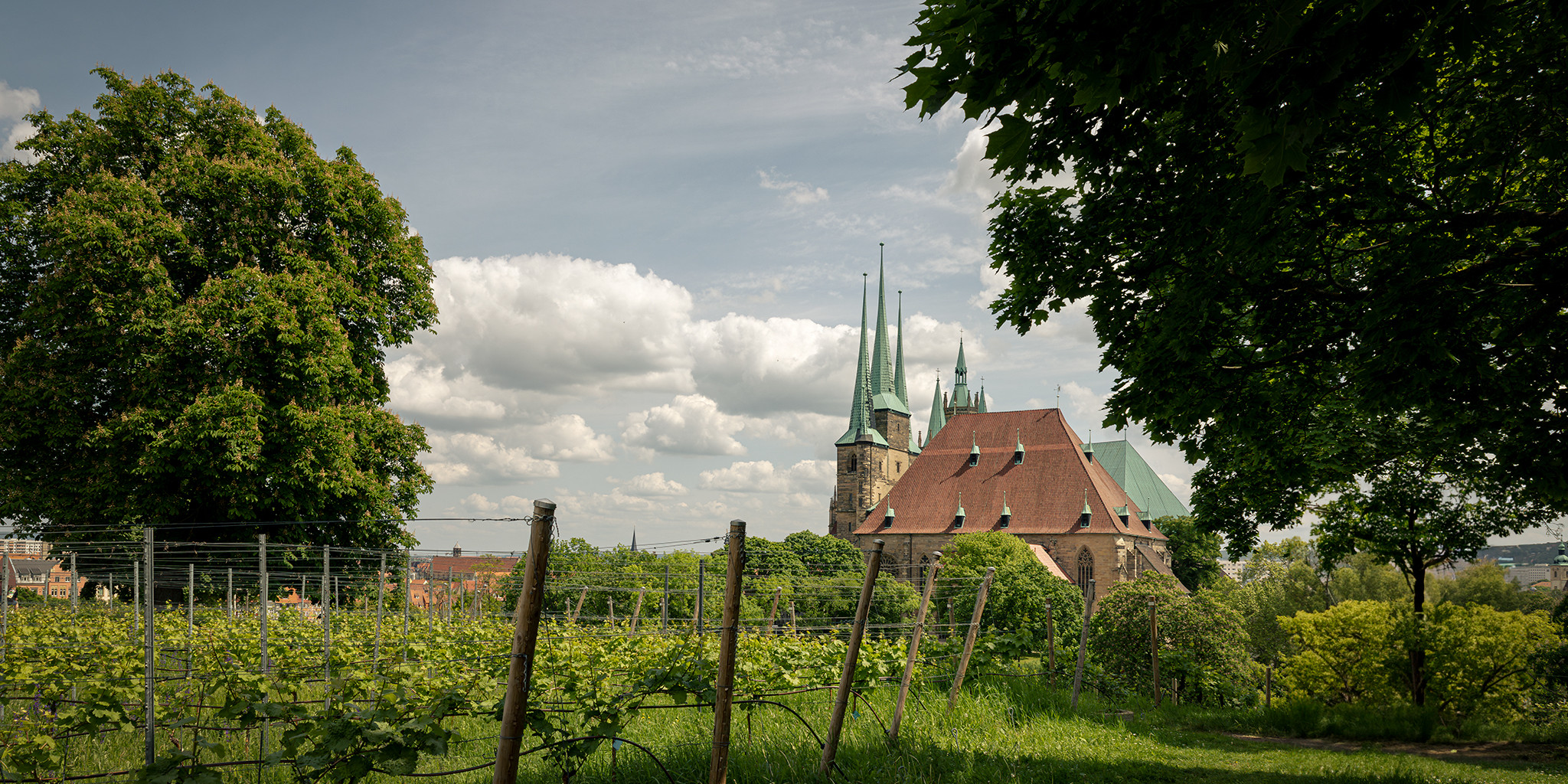 weinberg domblick weinberg domblick