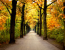 zum luisenpark zum luisenpark