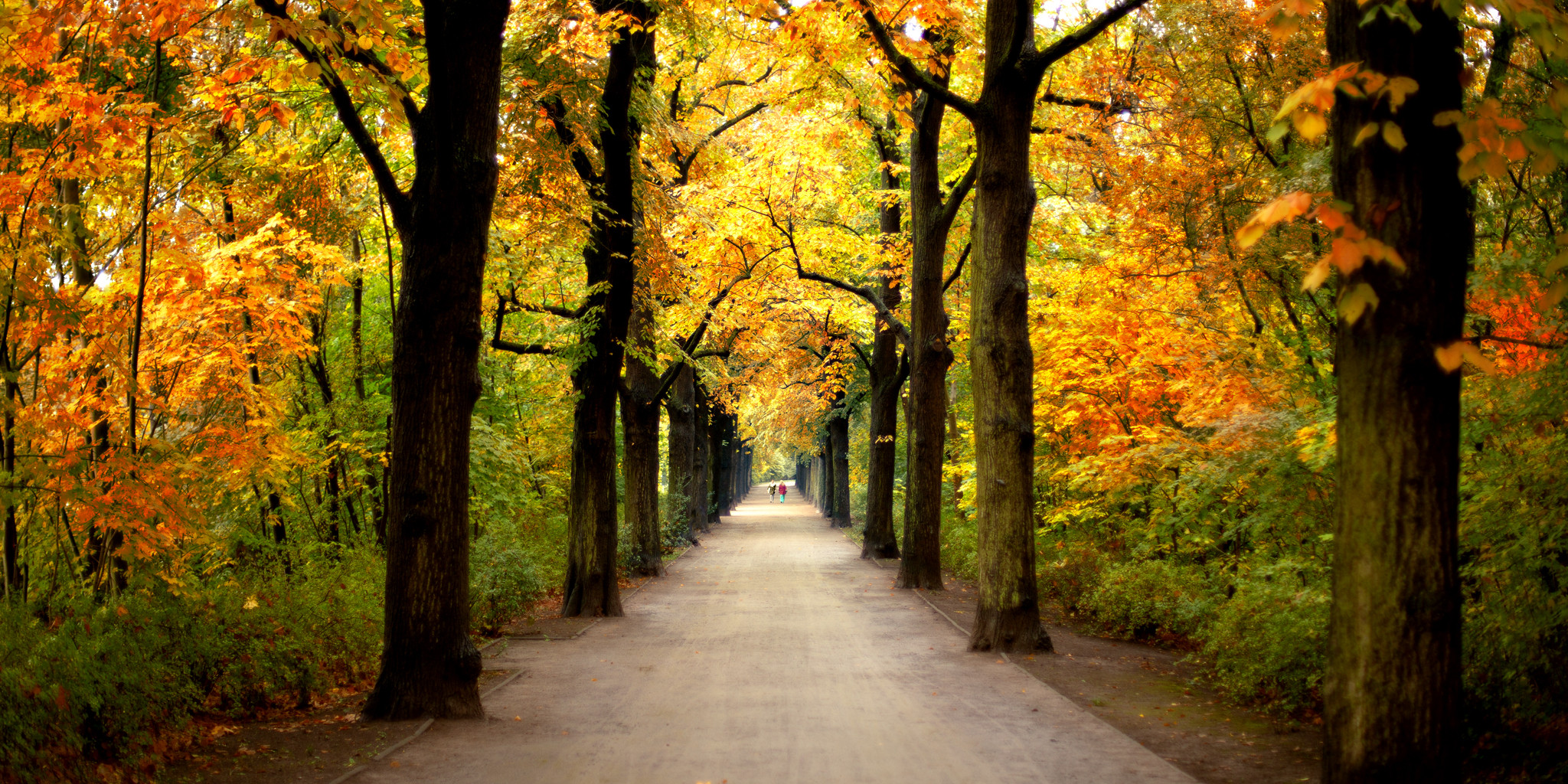 zum luisenpark zum luisenpark