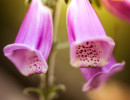 20151003 img