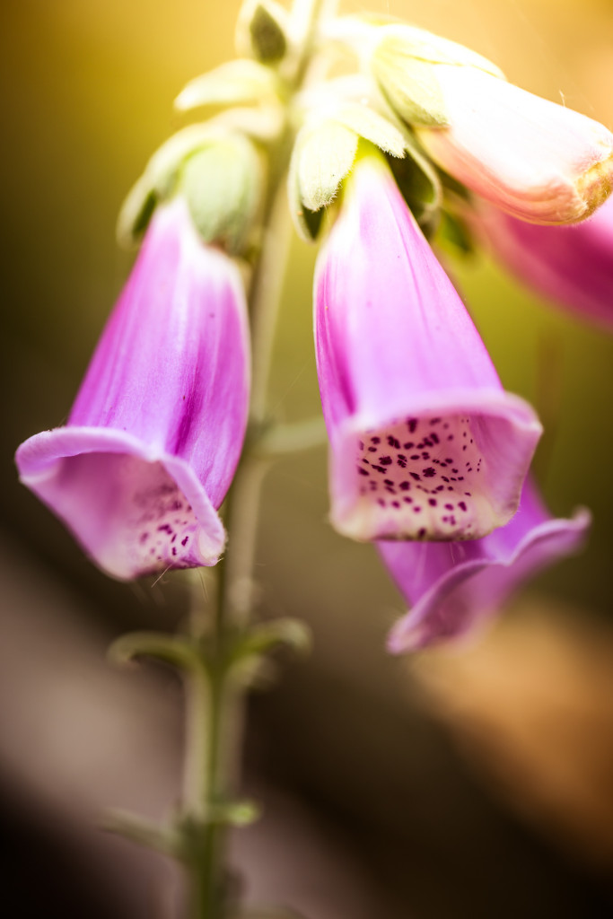 20151003 img