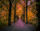 20151017 img bearbeitet