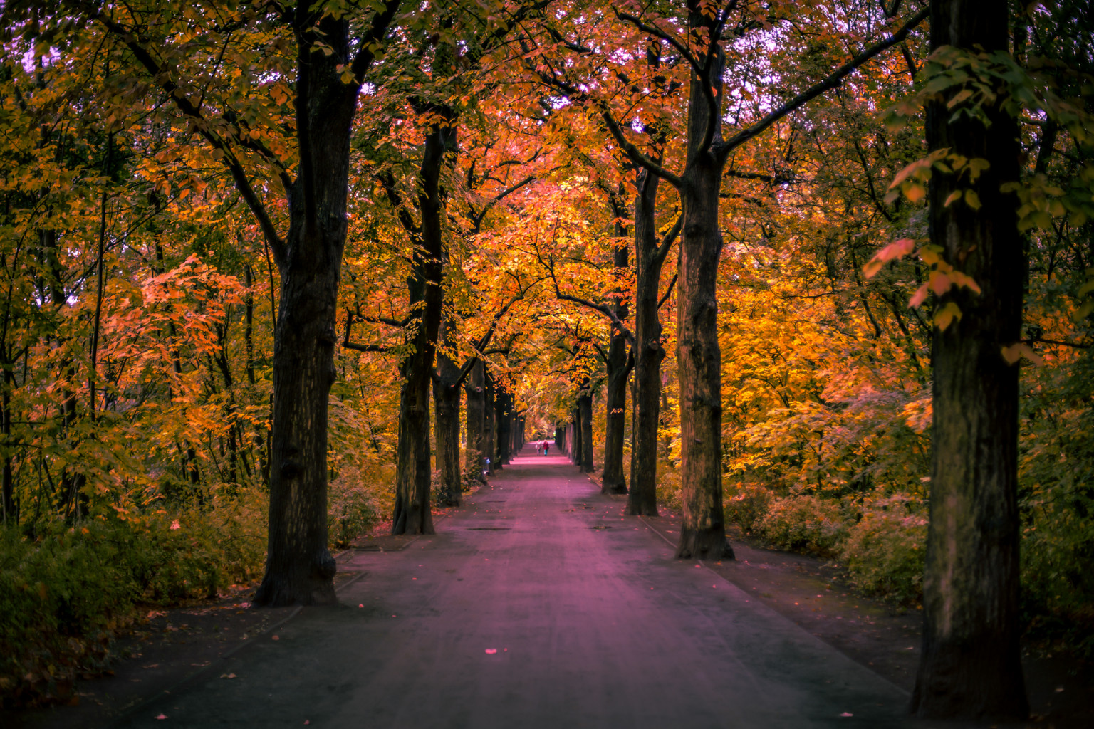 20151017 img bearbeitet