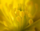 20200208  osr0446