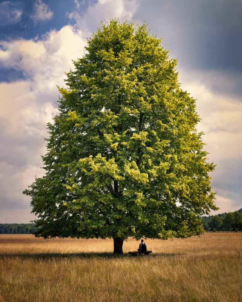 20210710 tree