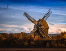 20161031 img bearbeitet 20161031 img bearbeitet