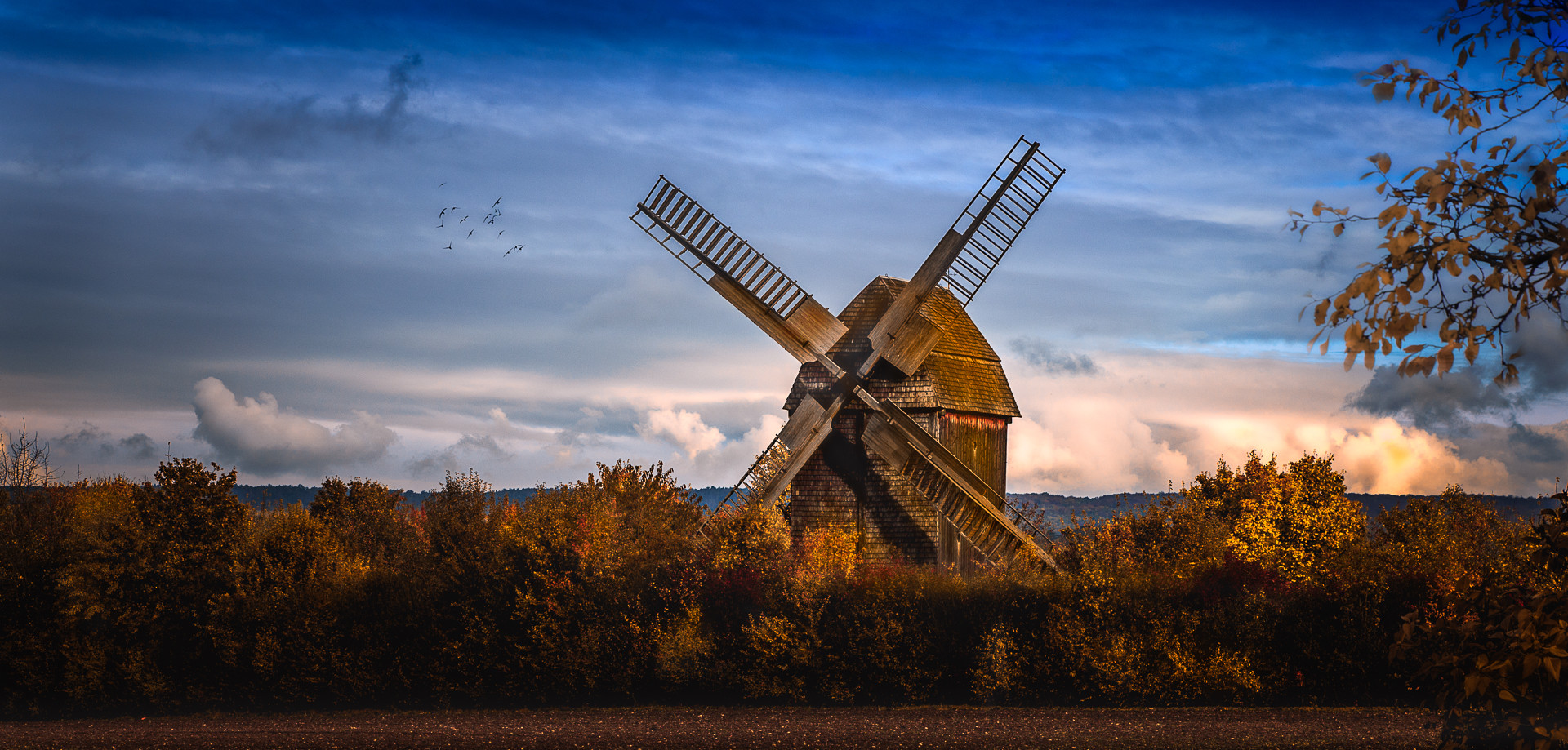 20161031 img bearbeitet 20161031 img bearbeitet