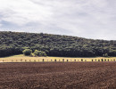 eosr0716 pano eosr0716 pano