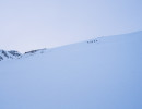  a643629 fb