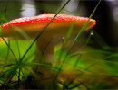 20170809 12 43  mg bearbeitet