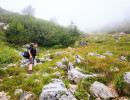 20170809 16 12 img bearbeitet 20170809 16 12 img bearbeitet